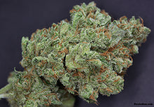 Load image into Gallery viewer, Ghost Train Haze #1