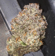 Load image into Gallery viewer, The Real Roze F3