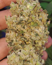 Load image into Gallery viewer, Mother Of All Cherries x Mai Tai Pie