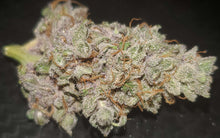 Load image into Gallery viewer, Charlie Foxtrot