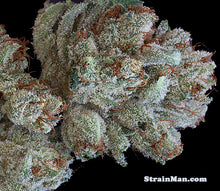 Load image into Gallery viewer, Scott's OG