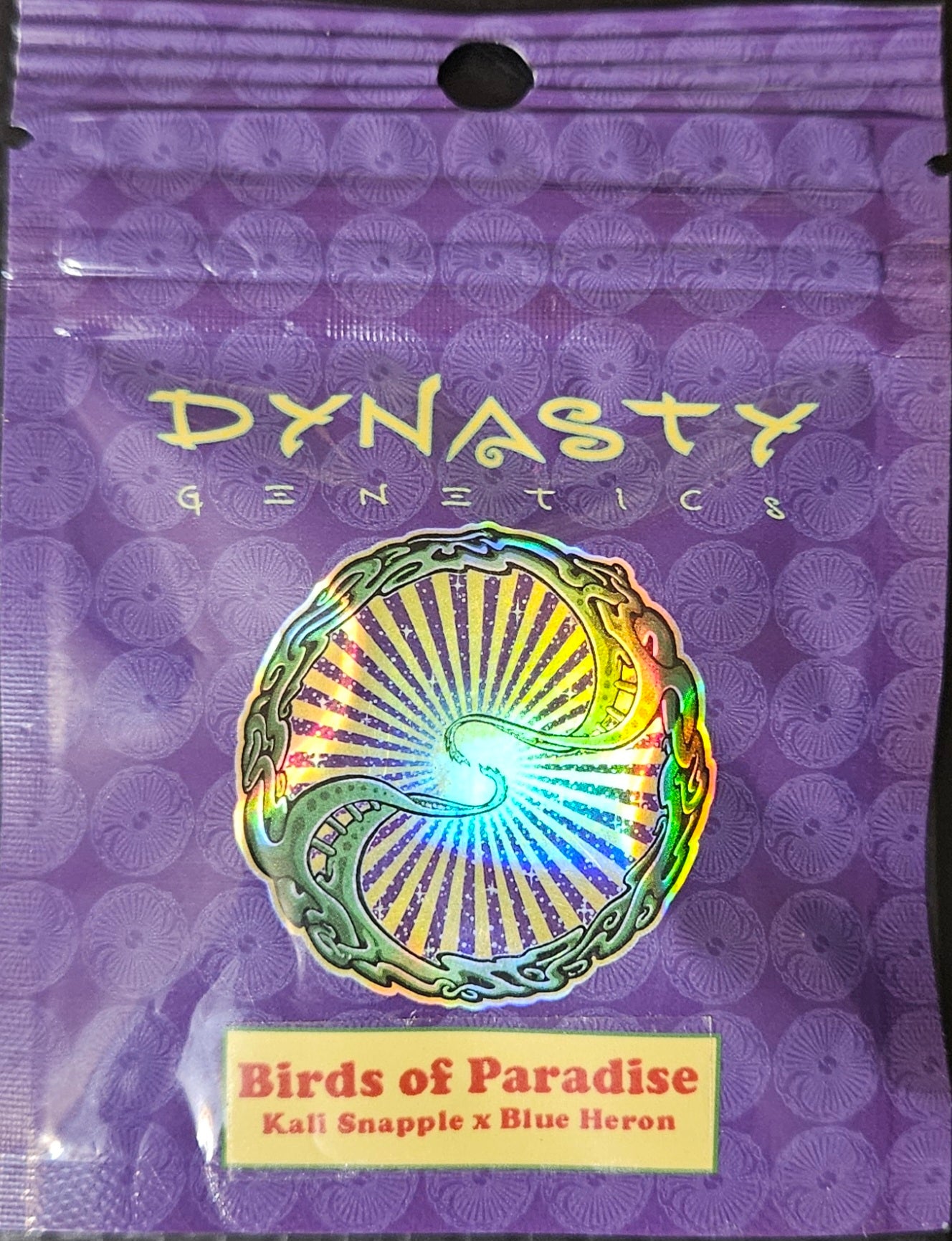 Dynasty Genetics Birds Of Paradise Meraki Genetics 0243