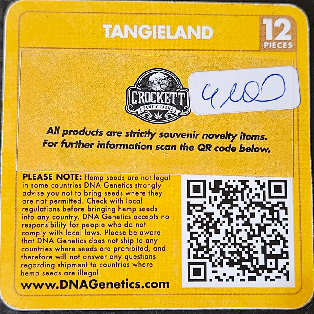 DNA Genetics - Tangieland