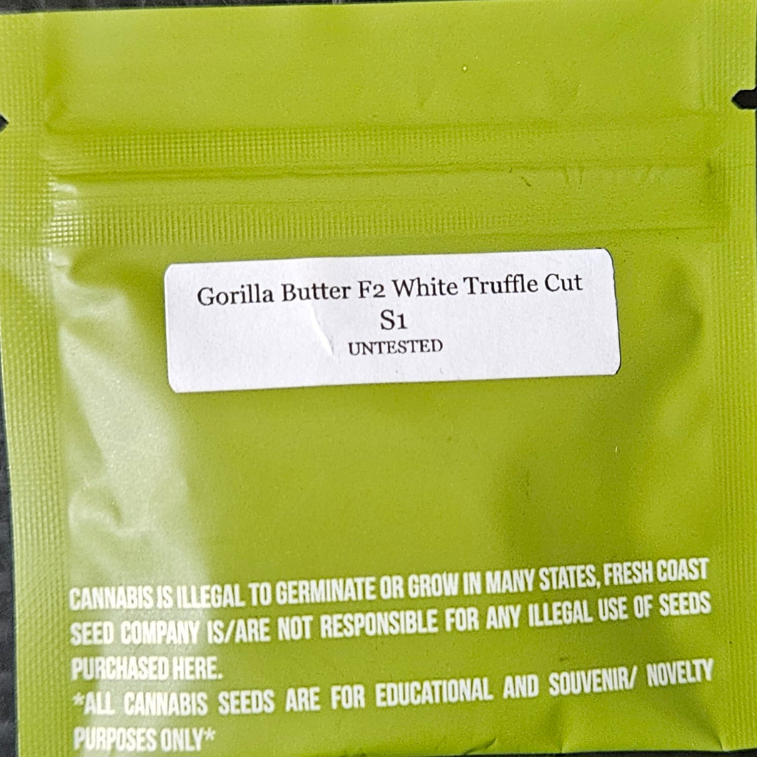 Fresh Coast Seed Co - Gorilla Butter F2 S1(White Truffle Cut)