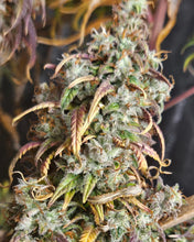 Load image into Gallery viewer, Super Lemon Haze
