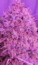 Load image into Gallery viewer, Grimy Ranarr
