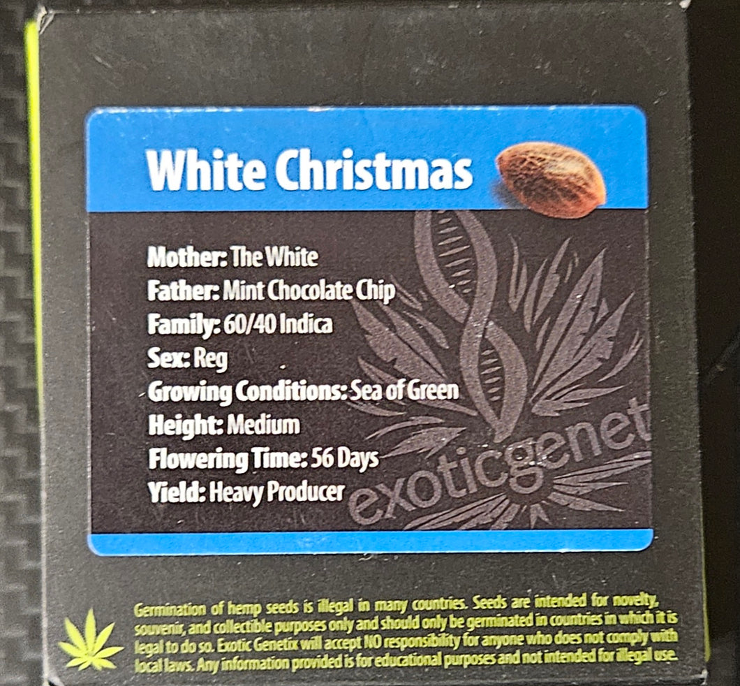 Exotic Genetix - White Christmas